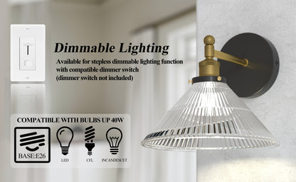 LIGHTINN Vintage Glass Lampshade Light Wall