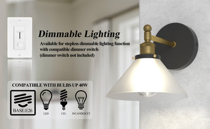 LIGHTINN Vintage Glass Lampshade Light Wall