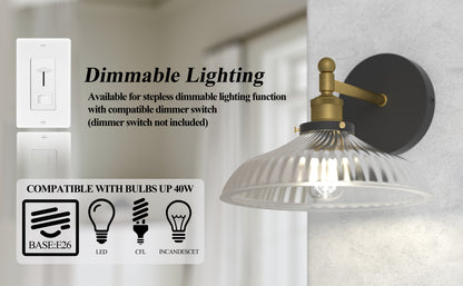 LIGHTINN Vintage Glass Lampshade Light Wall